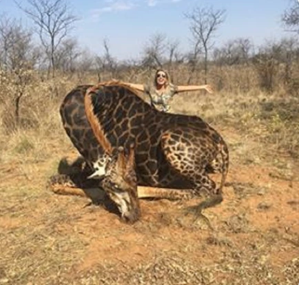 Σάλος στις ΗΠΑ: Η φωτογραφία μιας κυνηγού με το πτώμα μιας σπάνιας, μαύρης καμηλοπάρδαλης προκάλεσε χαμό (εικόνα)